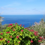 corse ressource stage naturopathie