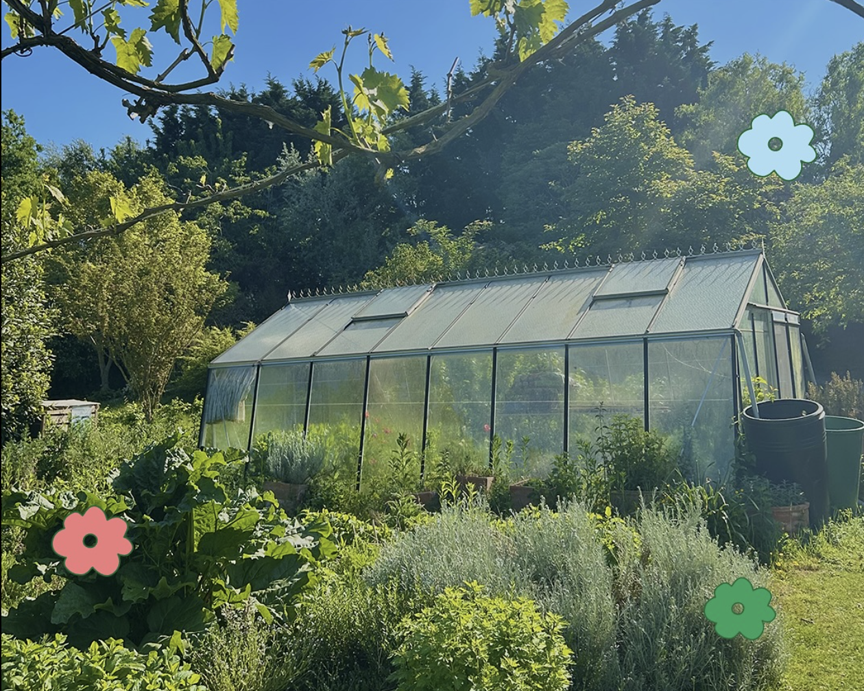 Atelier sensoriel autour des fleurs – 30 juin 2025