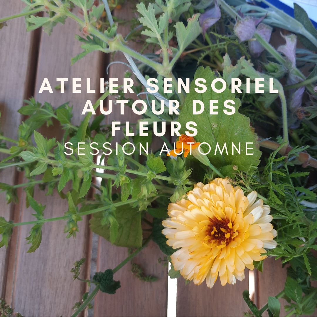 Atelier sensoriel autour des fleurs – 22 sept 2025