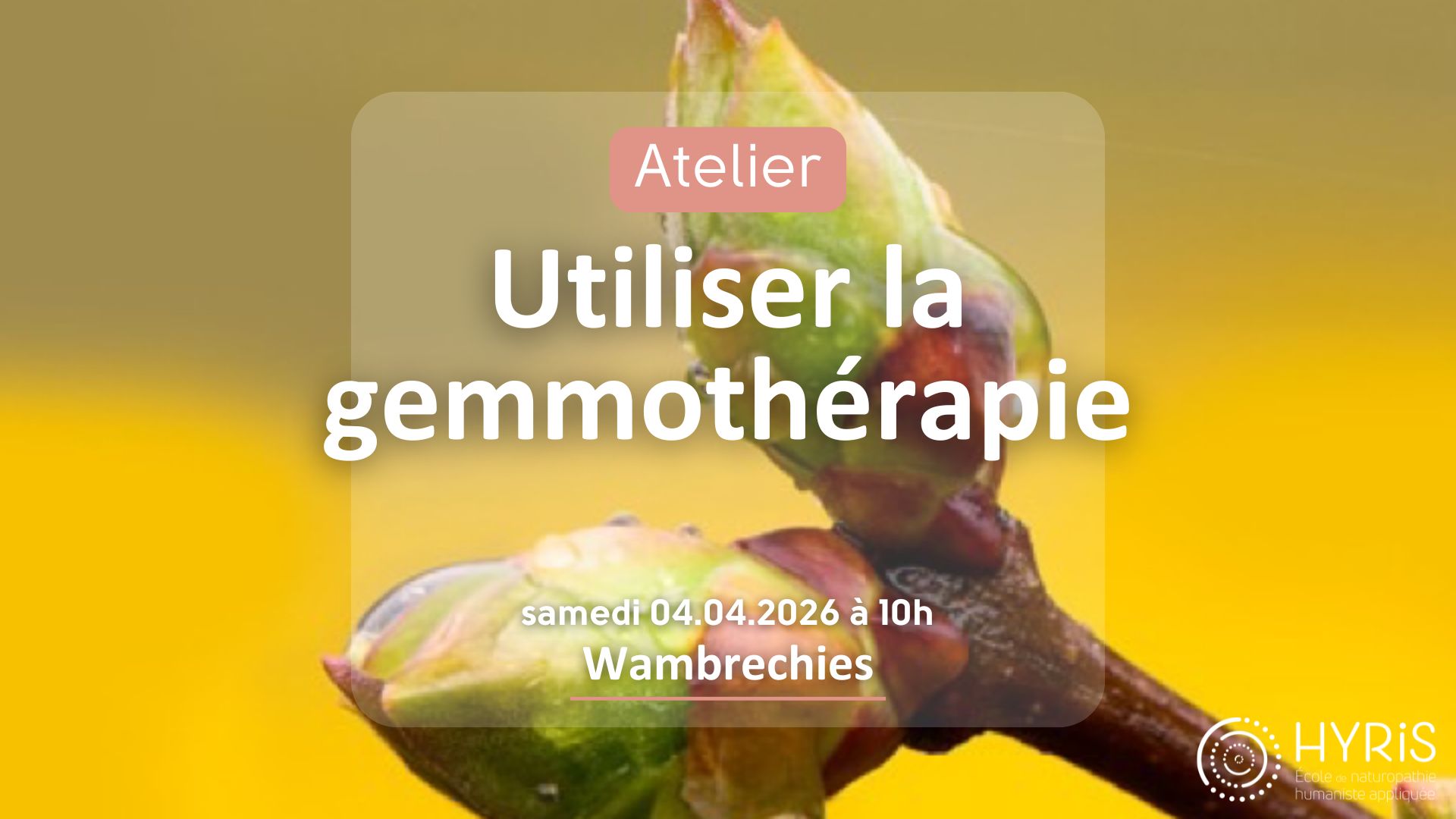 Atelier : Utiliser et fabriquer sa gemmothérapie le 04 avril 2026